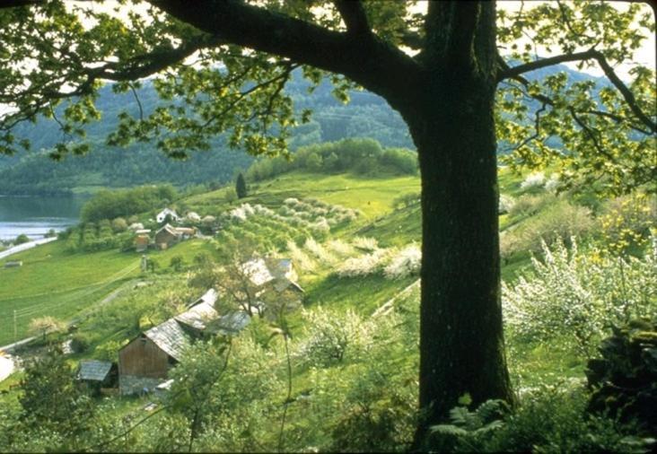 Hardanger Feriesenter Nesvika Holiday home